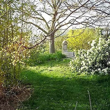 Paradis Des Outardes