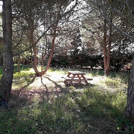 Paradis Des Outardes Feriehus