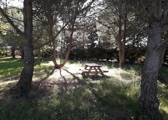 Paradis Des Outardes Prázdninový dům Beauvoisin (Gard)